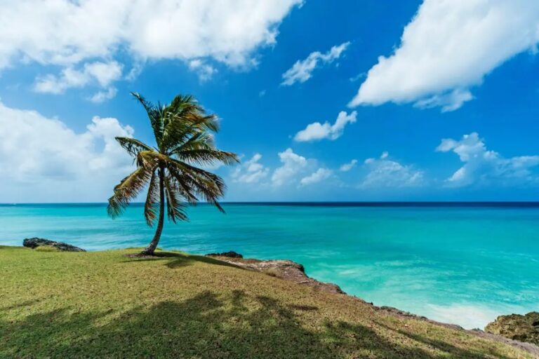 24 Multiple Choice Trivia Questions On Barbados Trivia Plane 24-multiple-choice-trivia-questions-on-barbados-trivia-plane